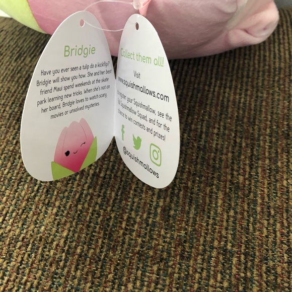 Squishmallow Bridgie the Tulip - Picture 4 of 4